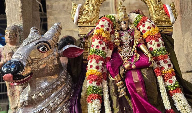 வெள்ளி ரிஷப வாகனத்தில் எழுந்தருளி மாசி வீதிகளில் வீதி உலா வந்த மீனாட்சி அம்மன்