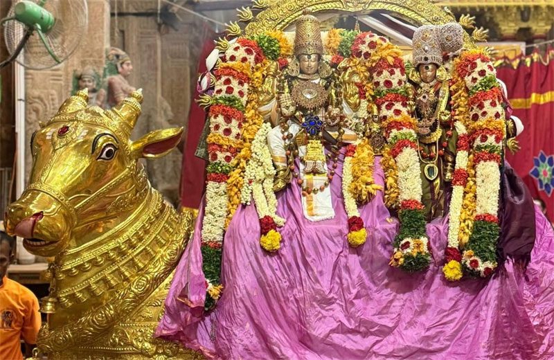 தங்க ரிஷப வாகனத்தில் எழுந்தருளி மாசி வீதிகளில் வீதி உலா வந்த சுந்தரேஸ்வரர்